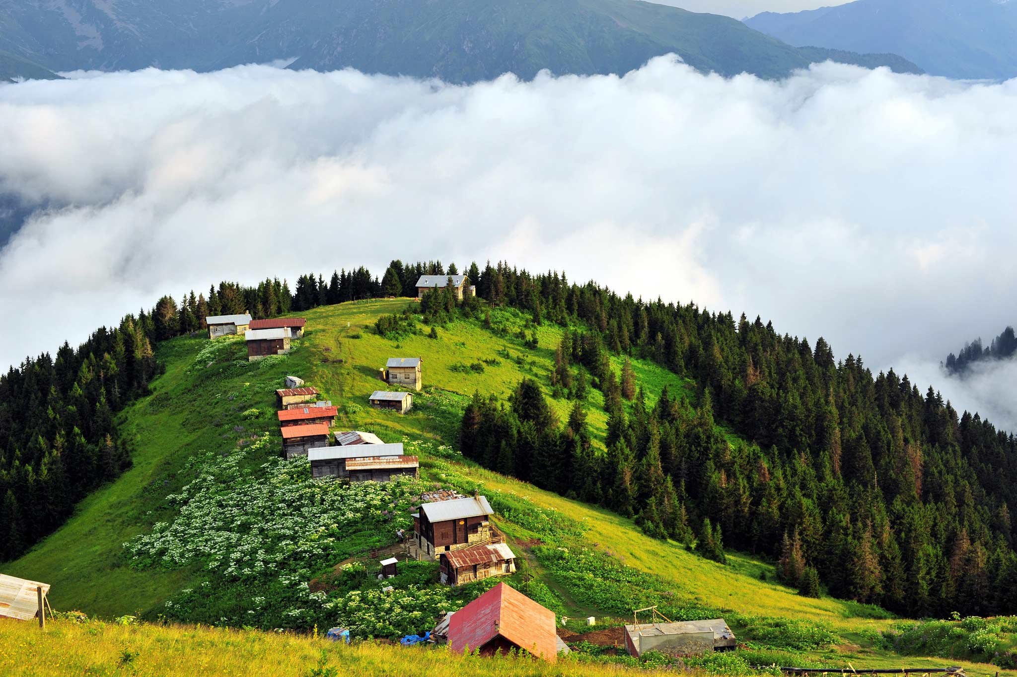 Image of Trabzon